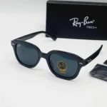 Sunglasses in Black Frame and Lens