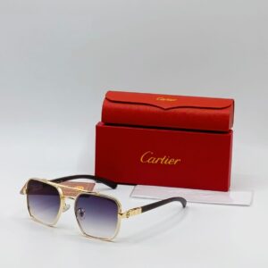 Golden Frame Black Lens Sunglasses